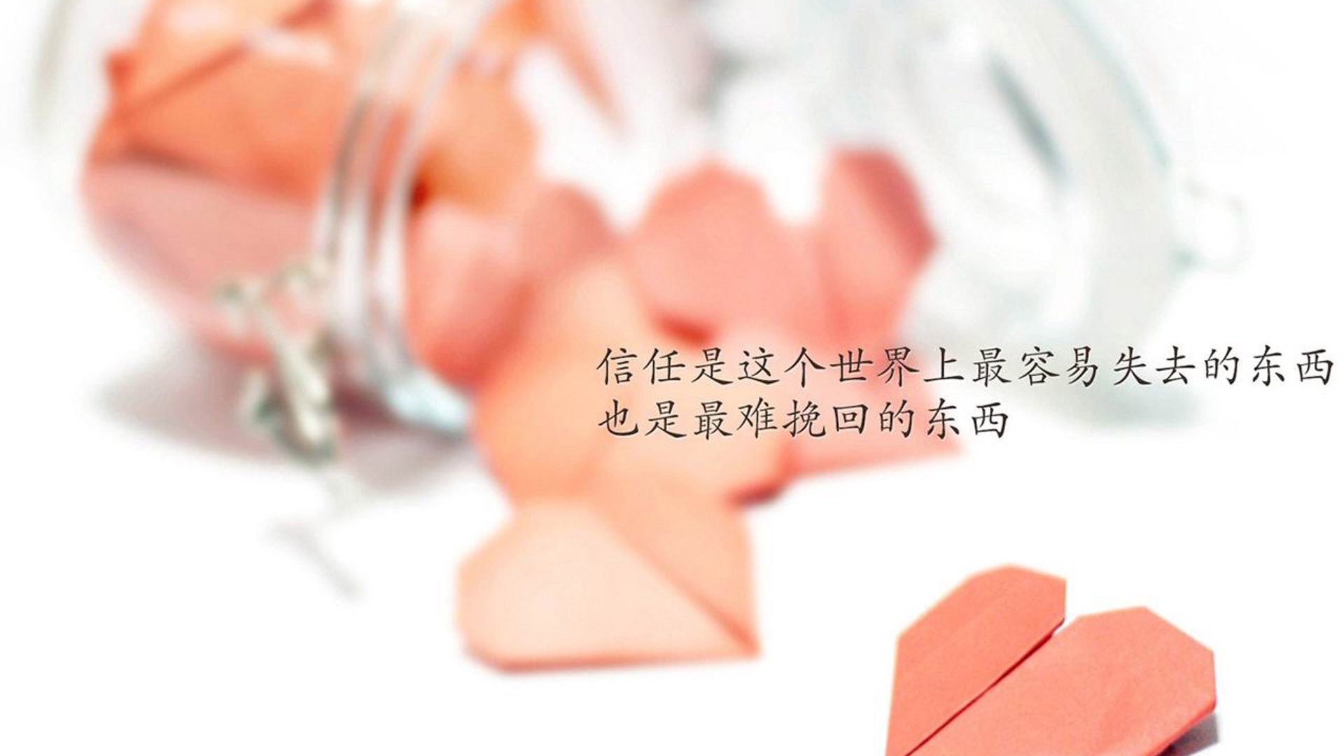 “青训项目获国家专项资金支持，发展迈上新台阶”，青训基地