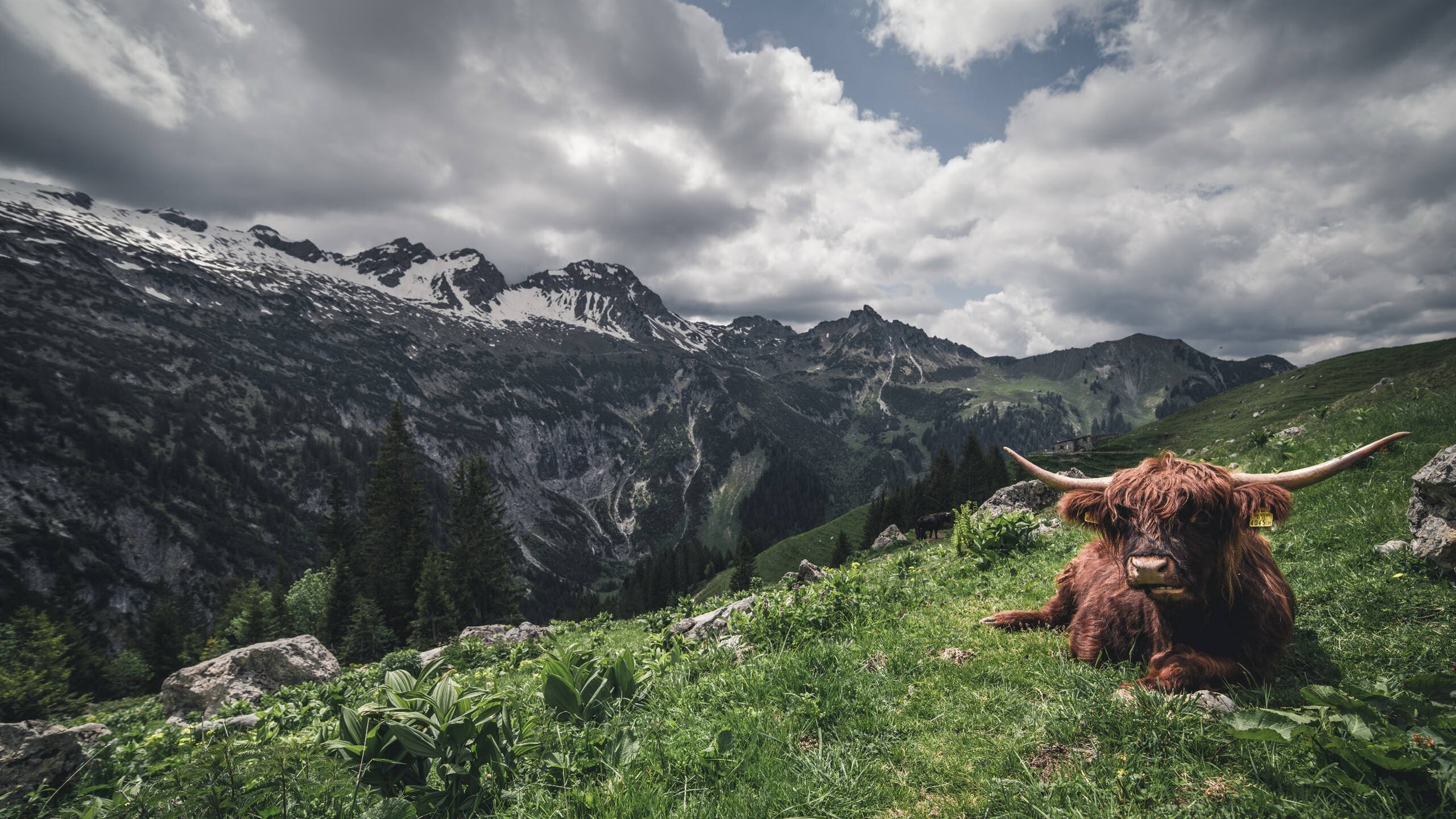 JiuyouAPP下载-中国足球产业链布局优化，推动行业高质量发展，中国足球产业白皮书