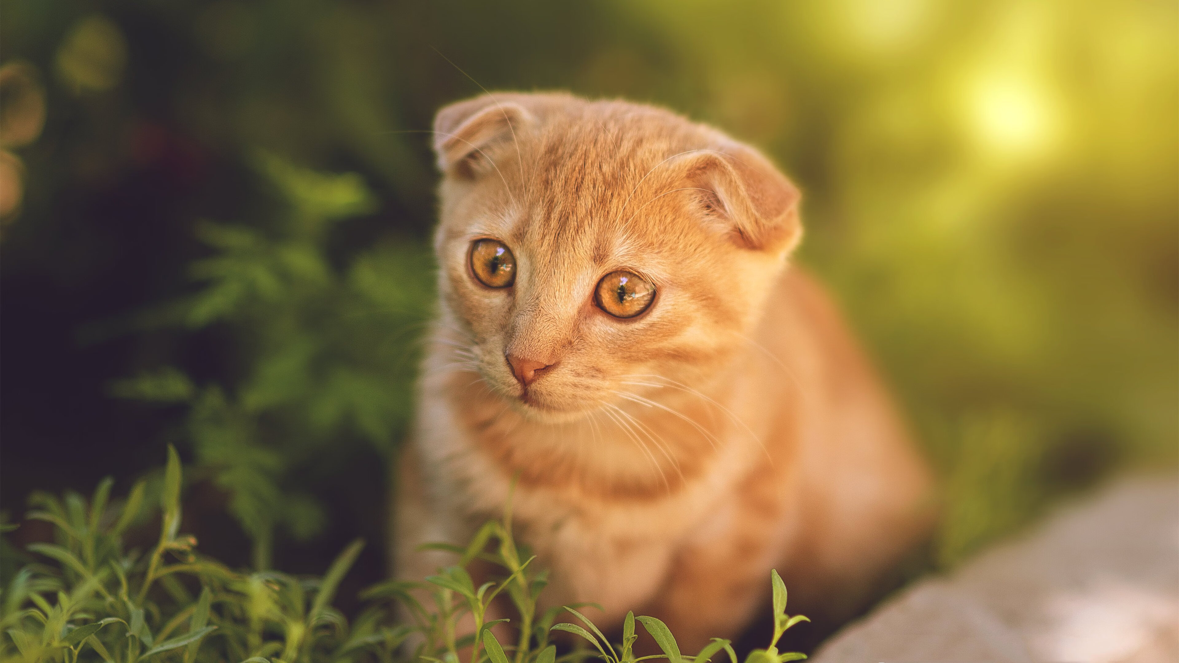 九游体育官网首页-全民健身计划推动篮球场地数量持续增加，惠及更多青少年，全民健身中心篮球场价格